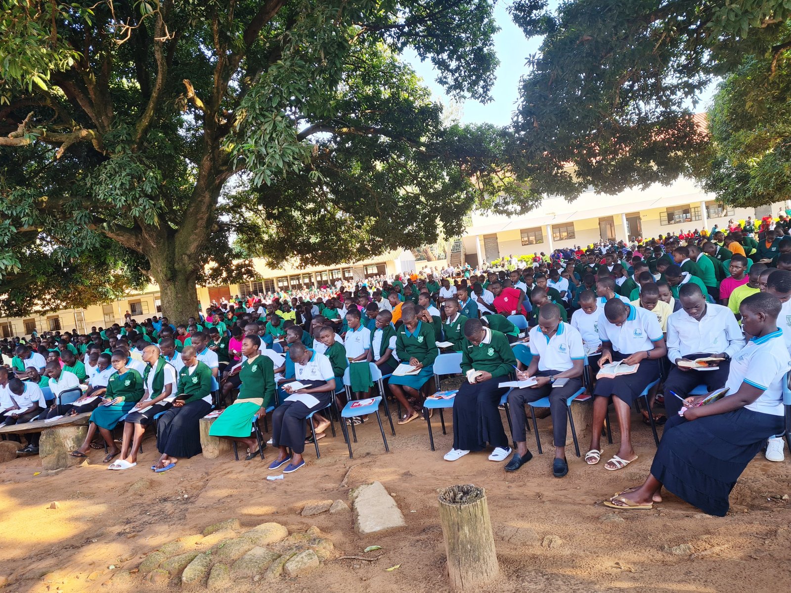 Schools - Graduation